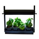 Mini jardin avec lampe ajustable 