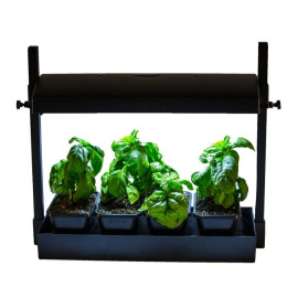 Mini jardin avec lampe ajustable 