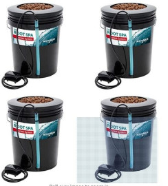 DWC4