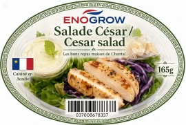 Salade Romaine hydroponique